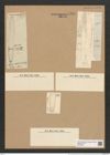 Ardissonia robusta (Ralfs) De Not (de-Toni-Nr.: Genus 68, Species 2678) Zeichnungen Sammlung Grunow Nr. 5484 (NHMW-BOT-W0373914)